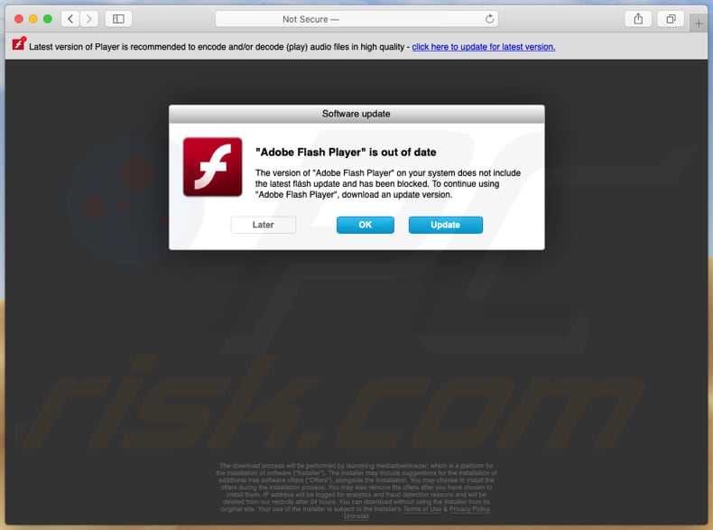 Adobe потребовала незамедлительно удалить flash player со всех устройств - cnews