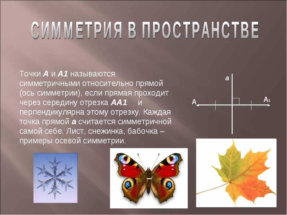 Математика 6 класс проект на тему симметрия - 91 фото